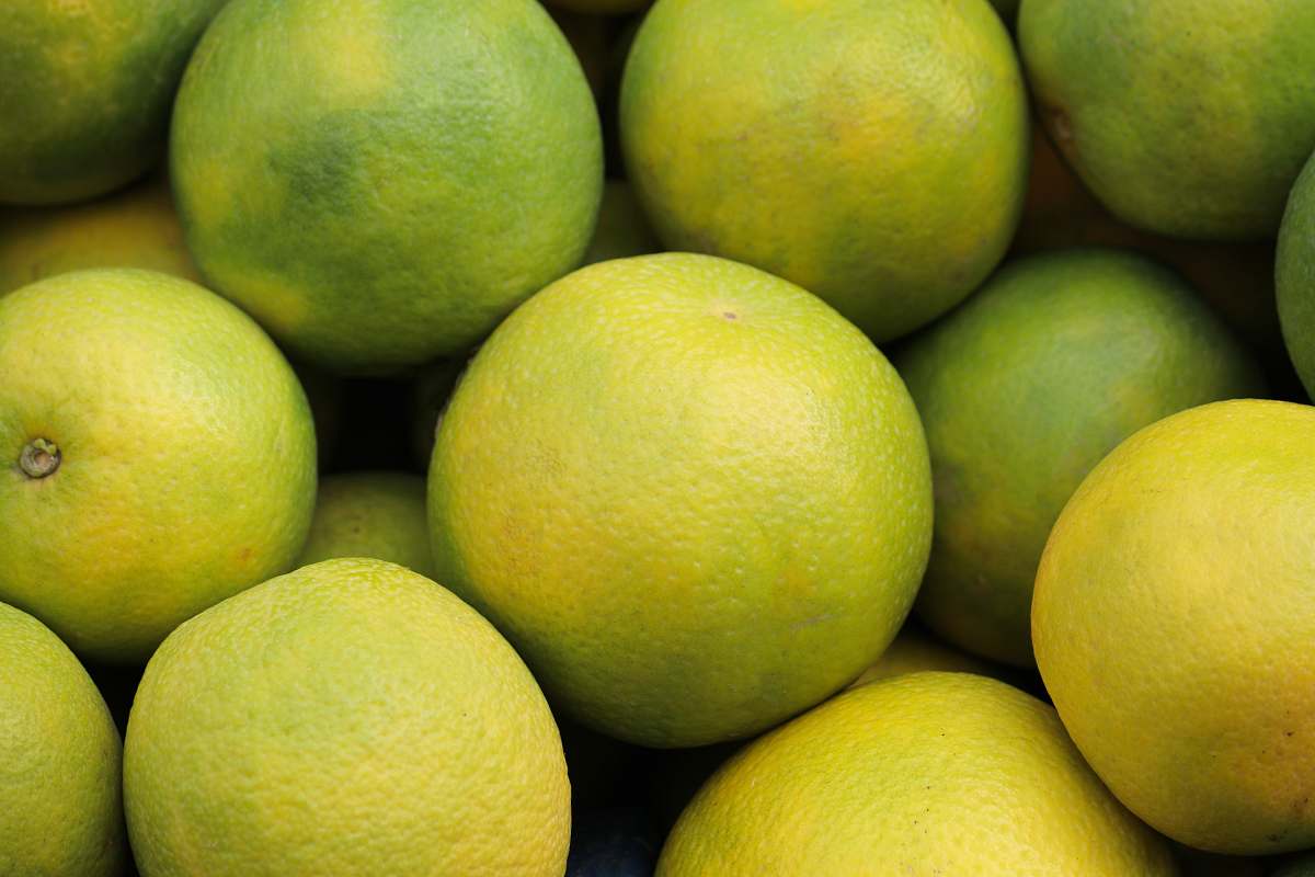 citrus fruit bunch of limes fruit